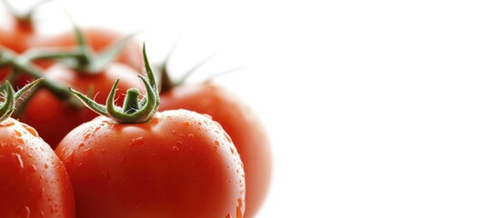 Wall Mural - Fresh ripe tomatoes with water droplets on white background and green stems suitable for food photography Copy Space