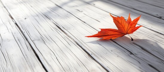 Poster - Red Maple Leaf on Sunlit Wooden Deck with Shadows and Copy Space