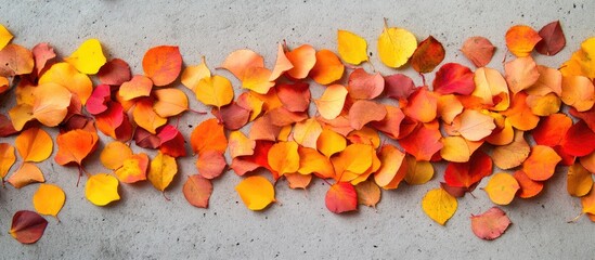 Poster - Autumn Leaves Scattered on Concrete Surface with Copy Space