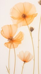 Wall Mural - Real pressed california poppy flower petal plant.