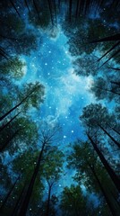 Wall Mural - blue sky and forest landscape outdoors woodland.