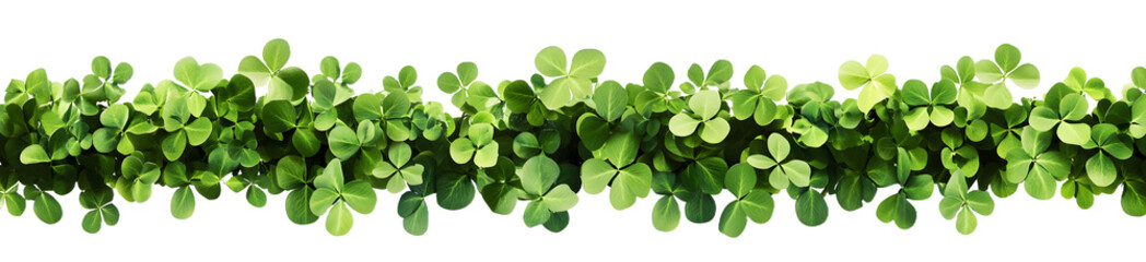 Wall Mural - Clover graphic element isolated on a transparent background created with Generative AI technology