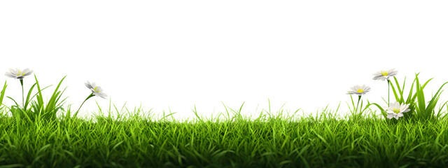 Wall Mural - Spring Green Grass Border png Cut Out Illustration on Transparent Background with Copy Space