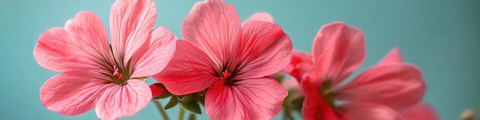 Canvas Print - Close-up shot of pink flowers in a decorative vase