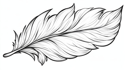 Wall Mural - elegant single feather, black and white line art illustration for coloring books and design