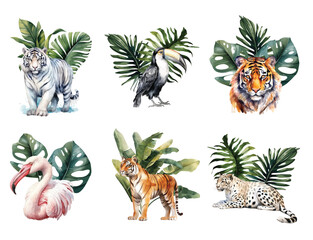 Wall Mural - Watercolor leopard, tiger, toucan and flamingo birds with green tropical palm leaves Animals illustration set