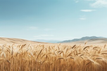 Wall Mural - Field landscape outdoors horizon.