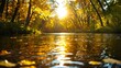 © Arthur Constantine - Golden Sunlight Illuminates Calm River in Autumn Forest