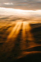 Wall Mural - Golden Sunlight Beams Across Rolling Hills Landscape