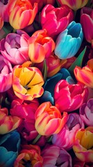 Canvas Print - Tulip flower backgrounds pattern.