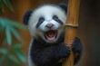 © darion - A joyful panda cub clings to a bamboo stalk, showcasing its playful nature.