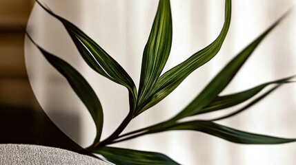 Poster - Exquisite Palm Leaf Shadow Embracing a Serene White Canvas for Creative Expression