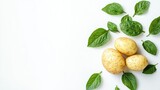 Potato with bright leaves isolated on a white background