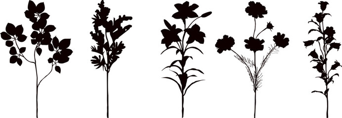 Wall Mural - flowers silhouette on white background vector