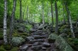 © Atonu - Trees, rocks, forest and Lake on the Under the Volcano Trail along the beautiful rocky coast of Lake Superior at Neys Provincial Park, Ontario, Canada.