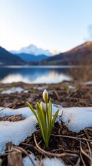 Sticker - A small white flower is growing in the snow. The image has a serene and peaceful mood, as the flower is the only living thing in the scene