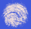 © CaptureAndCompose - Monotone pink and blue botanical tree rings of end grain of wood slab. Growth rings art with texture and cracked surface.