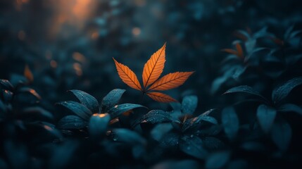 Sticker - Single orange leaf with dew drops stands out among dark teal foliage in soft, moody light. Close up view emphasizes texture and contrast