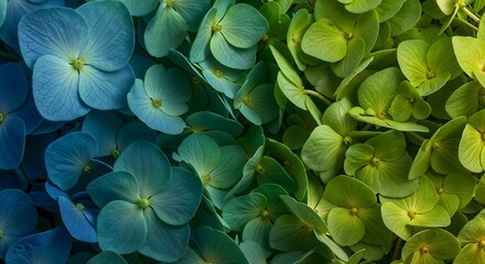 Wall Mural - Close-Up of Blue and Green Botanical Flowers on a Blurred Background