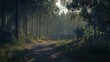 © huhu - Misty forest path at sunrise, sunlight filtering through tall pine trees.