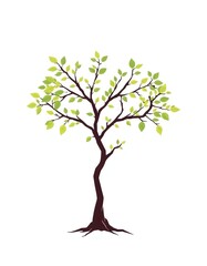 Poster - an image of a tree with green leaves on it, a tree with green leaves and branches on a white background