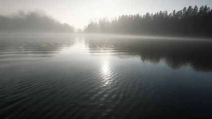 Wall Mural - Misty Morning Lake Reflections