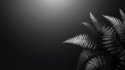Leinwandbilder - Dark background with fern foliage, studio shot