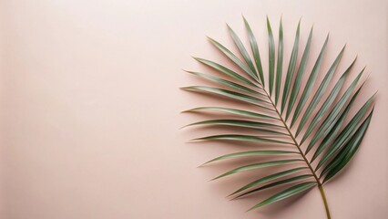 Poster - A single green palm frond, with its elegant curves and delicate leaflets, contrasts beautifully against the soft blush of the background, creating a minimalist and sophisticated aesthetic.
