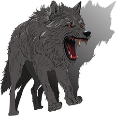 Wall Mural - grey wolf isolated on white background