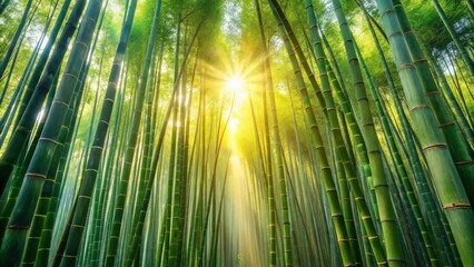 Aufkleber - Sunlight streams through a dense grove of tall bamboo stalks, casting ethereal shadows on the forest floor.