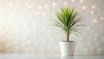 Aufkleber - A Green Plant in a White Pot Against a Wall with a White Circle Pattern and a Blurred Bokeh Background