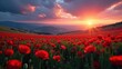 © Angel Pic - Serene Sunset Over a Vast Field of Vibrant Red Poppies, Rolling Hills in the Background