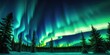 © PlatypusMi86 - Enchanting northern lights dance over snowy forest landscape at night