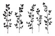© vefimov - A set of four stylized leaves in black silhouette, ideal for nature-themed designs or as a decorative element.