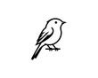 © Mamun360 - Acadian Flycatcher Bird Logo Design Icon Template