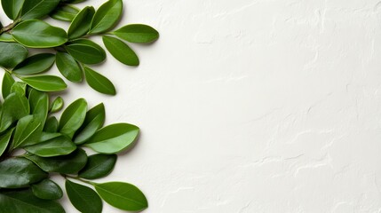 Wall Mural - Fresh Greenery Border: A vibrant green border of lush foliage frames the left side of the image, creating a natural and refreshing backdrop for your designs.