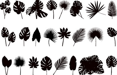 Wall Mural - palm leaves collection, set silhouette on white background vector
