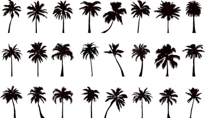Wall Mural - palm tree collection, set silhouette on white background vector