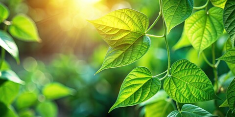 Aufkleber - Sunlight Illuminates the Delicate Veins of Lush Green Leaves