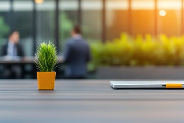 Fototapete - Lush Green Potted Plant Elegantly Positioned on a Wooden Table Surrounded by Soft Natural Light Creating a Calming and Inviting Atmosphere for Home Decor