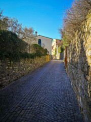 Wall Mural - View of the village of Arquà Petrarca, Padua, Italy