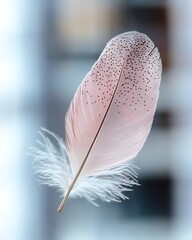 Canvas Print - Delicate pink feather floating gracefully against a blurred backdrop