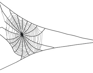 Intricate spiderweb design, a detailed black silhouette on a transparent background.
