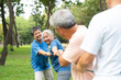 © Prot - Four cheerful seniors in a friendly tug of war on a vibrant green lawn showcasing their vitality, camaraderie, and Active Seniors lifestyle, enjoying an active and playful moment in a park setting.