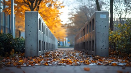 Wall Mural - A concrete walkway with a row of trees on either side