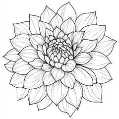 Wall Mural - A stunning black and white dahlia flower in isolation, featuring hand-drawn contour lines and strokes