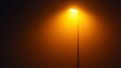 © Lion - vintage street lamp illuminated against a foggy night sky, warm golden light, minimalistic style