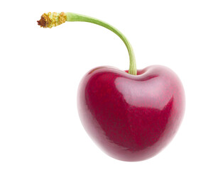 Wall Mural - One glossy sweet cherry on a stem cutout