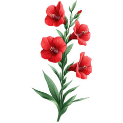 Snapdragon clipart isolated on transparent background