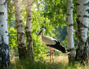 Poster - In der Natur